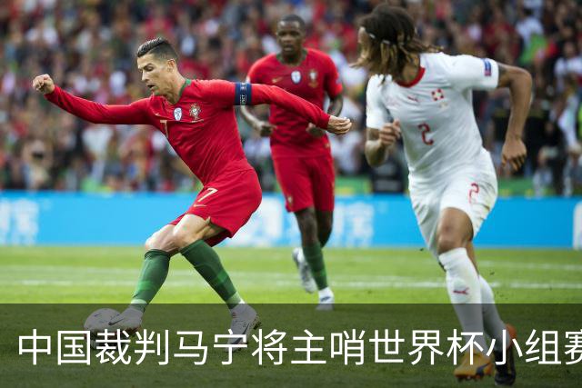 中国裁判马宁将主哨世界杯小组赛第二轮比赛